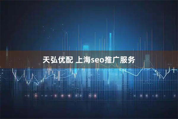 天弘优配 上海seo推广服务