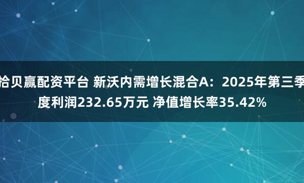 拾贝赢配资平台 新沃内需增长混合A：2025年第三季度利润232.65万元 净值增长率35.42%