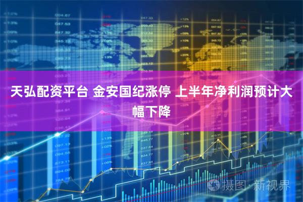 天弘配资平台 金安国纪涨停 上半年净利润预计大幅下降