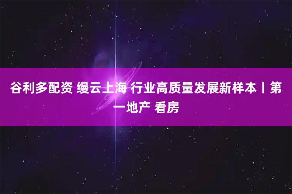 谷利多配资 缦云上海 行业高质量发展新样本丨第一地产 看房